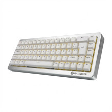 RAIJINTEK MGA-68 (silver, DE layout, Hejin Magnetic Yellow)