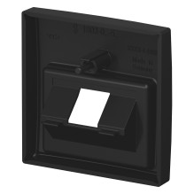Busch-Jaeger 2CKA001753A0217 wall plate / switch cover
