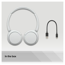 Sony WH-CH520