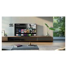 „Panasonic TB-65W61AEZ“ televizorius