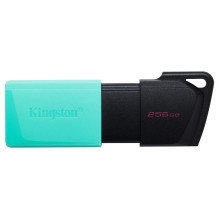 „Kingston Technology...