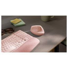 „Logitech“ 910-006478 pelė „Logitech“ 910-006478 pelė