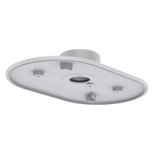 Axis 02076-001 security...