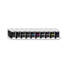 Epson SureColor SC-P700 photo printer