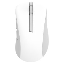 ASUS belaidė MD102 pelė
