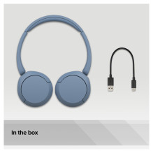 Sony WH-CH520