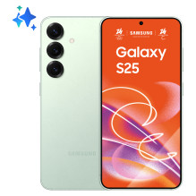 Samsung Galaxy S25