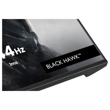 „iiyama G2441HSU-B1“ kompiuterio monitorius