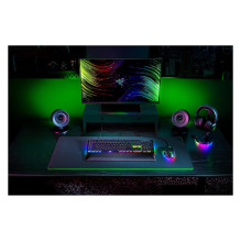 Razer BlackWidow V4 keyboard Razer BlackWidow V4 keyboard