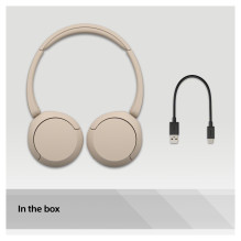 Sony WH-CH520