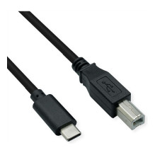 ROLINE 11028337 USB laidas