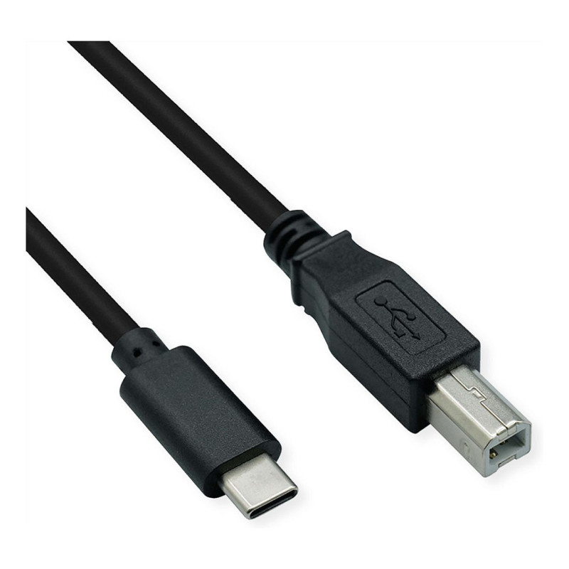 ROLINE 11028337 USB laidas