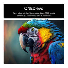 LG QNED evo AI 55QNED85A6C