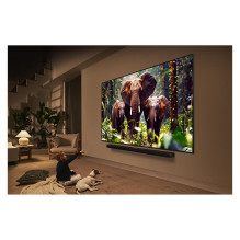 LG QNED evo AI 55QNED85A6C