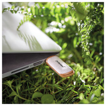 Intenso Green Line USB flash drive Intenso Green Line USB flash drive