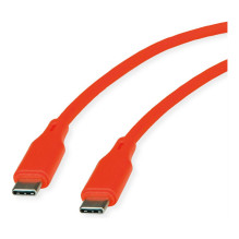 ROLINE 11.02.9124 USB laidas