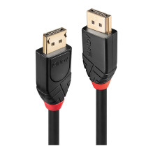Lindy 41079 DisplayPort...