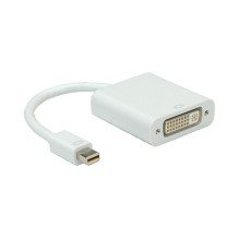 ROLINE Mini DisplayPort-DVI Adapter, M / F