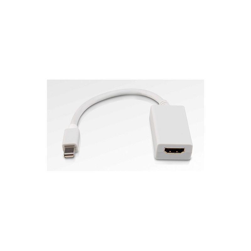 ROLINE Mini DisplayPort-HDMI Adapter