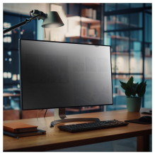StarTech.com PRIVACY-SCREEN-24MB display privacy filter