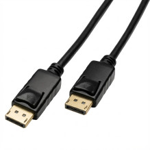 „Captiva“ DisplayPort į...