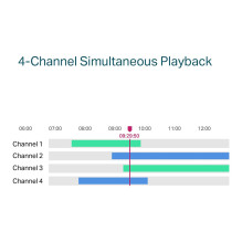 TP-Link VIGI NVR1004H-4P tinklo vaizdo įrašymo įrenginys