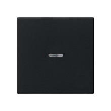 GIRA System 55