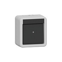 GIRA 310630 electrical switch