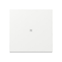 GIRA 329003 wall plate /...