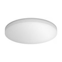 STEINEL RS PRO R20 basic SC ceiling lighting