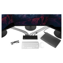 StarTech.com DK30CH2DEPUE laptop dock / port replicator
