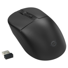 Conceptronic LORCAN04B mouse