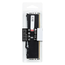 Kingston Technology FURY Beast RGB memory module