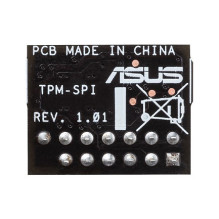 Asus TPM-SPI