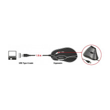 DeLOCK 12527 mouse DeLOCK 12527 mouse