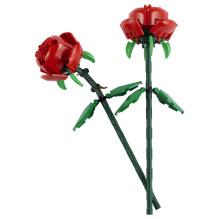 LEGO Botanicals 40460 konstravimo žaislas LEGO Botanicals 40460 konstravimo žaislas