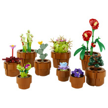 LEGO Botanicals mažyčiai augalai LEGO Botanicals mažyčiai augalai