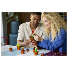 LEGO Botanicals mažyčiai augalai LEGO Botanicals mažyčiai augalai