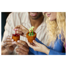 LEGO Botanicals mažyčiai augalai LEGO Botanicals mažyčiai augalai