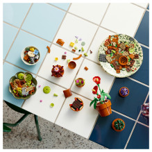 LEGO Botanicals mažyčiai augalai LEGO Botanicals mažyčiai augalai