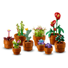 LEGO Botanicals mažyčiai augalai LEGO Botanicals mažyčiai augalai