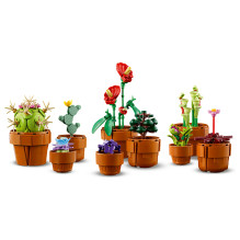 LEGO Botanicals mažyčiai augalai LEGO Botanicals mažyčiai augalai