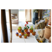 LEGO Botanicals mažyčiai augalai LEGO Botanicals mažyčiai augalai