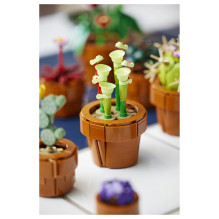 LEGO Botanicals mažyčiai augalai LEGO Botanicals mažyčiai augalai
