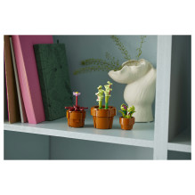 LEGO Botanicals mažyčiai augalai LEGO Botanicals mažyčiai augalai