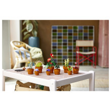 LEGO Botanicals mažyčiai augalai LEGO Botanicals mažyčiai augalai