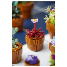 LEGO Botanicals mažyčiai augalai LEGO Botanicals mažyčiai augalai