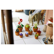 LEGO Botanicals mažyčiai augalai LEGO Botanicals mažyčiai augalai