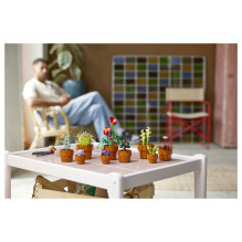 LEGO Botanicals mažyčiai augalai LEGO Botanicals mažyčiai augalai