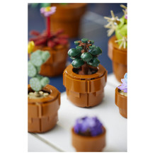 LEGO Botanicals mažyčiai augalai LEGO Botanicals mažyčiai augalai